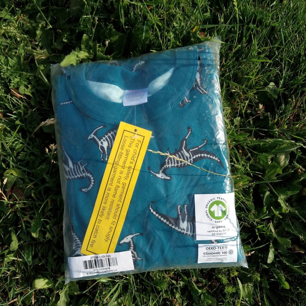 New Hanna andersson dinosaur pajamas